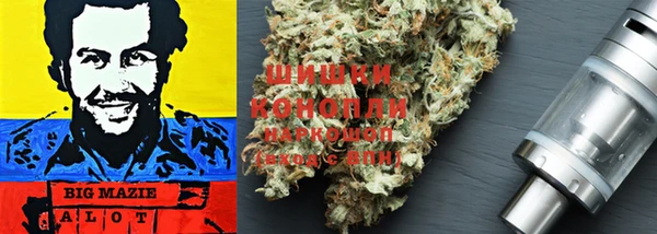 ГАЛЛЮЦИНОГЕННЫЕ ГРИБЫ Баксан