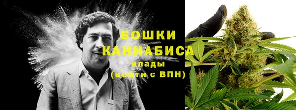 тгк Белокуриха
