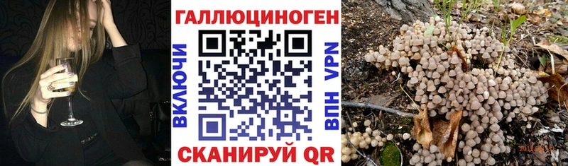 Псилоцибиновые грибы GOLDEN TEACHER  Борисоглебск 